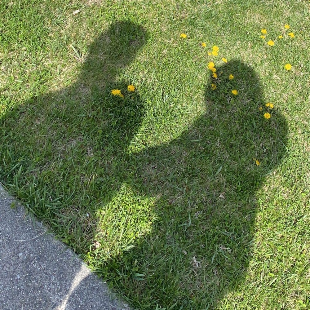 Meet your Posher, Sophia